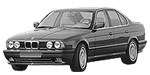 BMW E34 C129B Fault Code